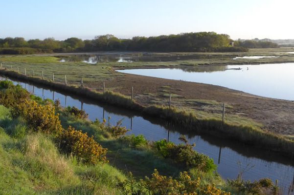 Keyhaven Marsh