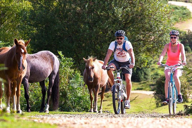 People cycling in the New Forest